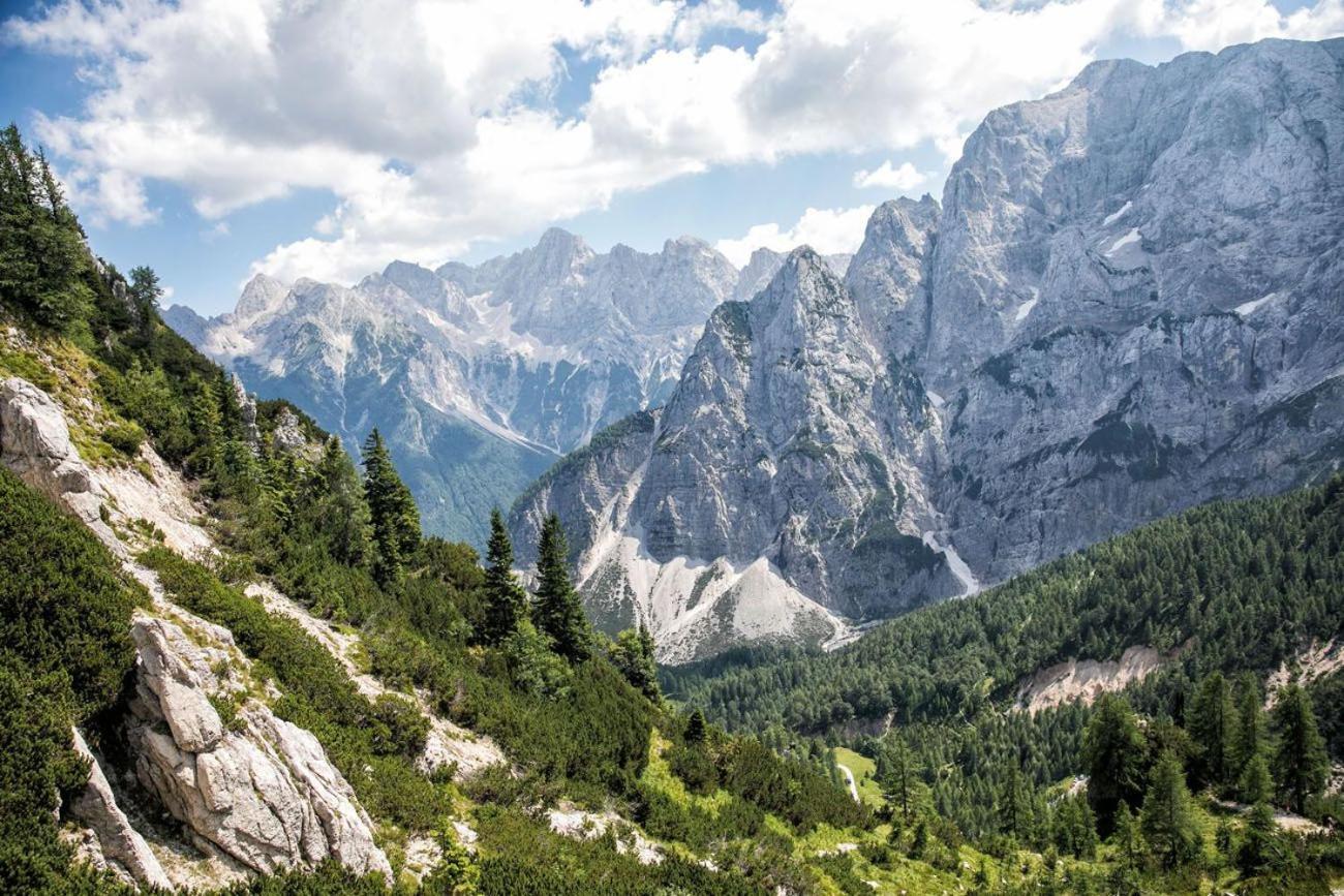 Sunny Retreat Apartment Kranjska Gora Kültér fotó