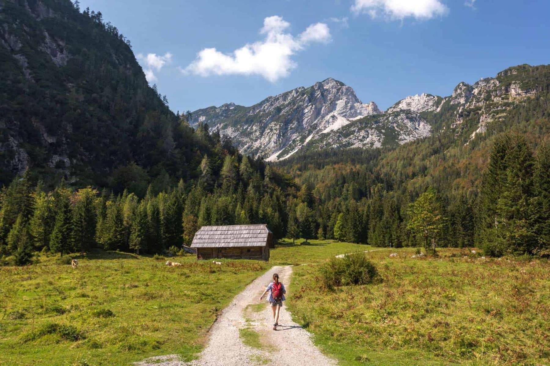 Sunny Retreat Apartment Kranjska Gora Kültér fotó